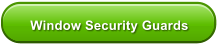 Window Security Guards
